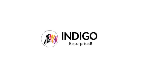 Indigo Paints to Launch IPO