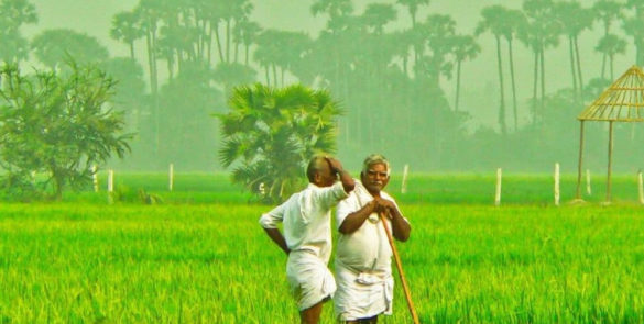 Indian Govt. Committed to Farmers' Welfare