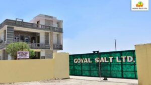Goyal Salts Limited