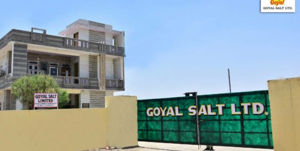 Goyal Salts Limited