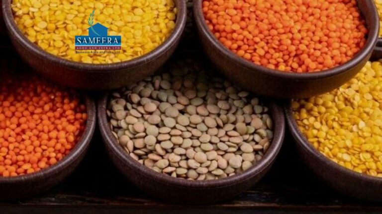 Sameera Agro and Infra